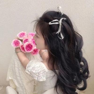 虚龙争假虎斗